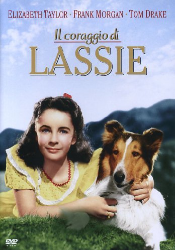 Il coraggio di Lassie