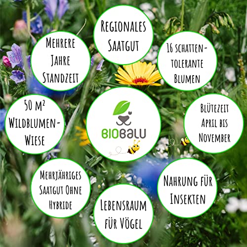 Biobalu Öko Blumenmischung Bienenweide speziell für den Halbschatten- und Schattenbereich + für bis zu 50 qm, mehrjährig und winterhart, viele Wildblumen und -kräuter, 50 g
