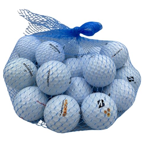 Golf Ball Planet 24 Pack Used Golf Balls Mix (4A/Near Mint, White)