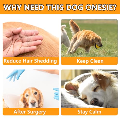 Image of Dog Onesie Surgical Recovery Suit for After Surgery Pet Anti Shedding Bodysuit Long Sleeve Anxiety Shirt for Female Male Dog Orange Red /M