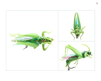 Amazon.co.jp: YZDリアルバッタフライフィッシングフライ3サイズ