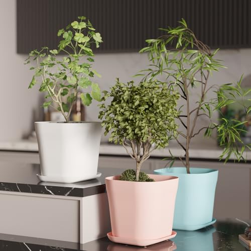 Image of StyleX Store Pack of 3 Square Plastic Flower Pot with Tray | Modern Indoor Outdoor Planter for Home Balcony Garden Office | Durable Lightweight Planter Pot | 6 Inch, Multi