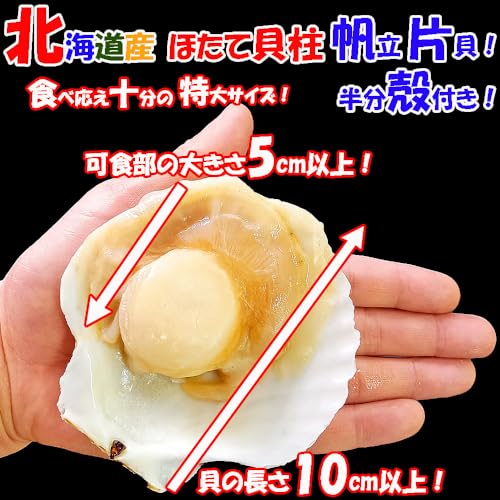 ichigo-ichigo 北海道産 ホタテ貝柱 帆立 片貝 殻付き 1袋 (8枚入) 特大 ほたて 冷凍 バーベキュー bbq ギフト 母の日ギフト 父の日プレゼント の商品画像 1