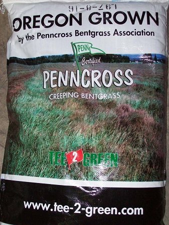 Creeping Bentgrass Seed