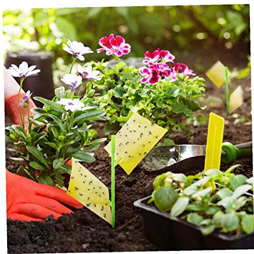 Yellow Sticky Fly Vallen Fly Stickers Opknoping Catcher dubbelzijdige Pluggable platen Protection for Plant Fruit - Image 6