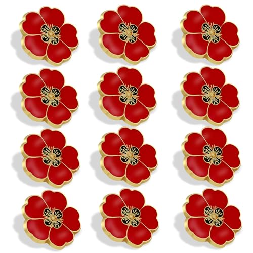 2/20/50/100 Af[ ޖRl̓  Gi ys 1C` yYp jp mobO Xq, 1inch, , ΂Ȃ