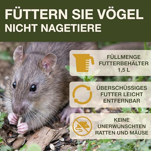 SWISSINNO Vogelfutterhaus zum Aufhängen – Davos SMART Birds - Vogelfutterspender mit Auffangschale - Futterstation für Vögel - Futtersilo Rattensicher - Vogelhaus für Garten & Balkon - Grün