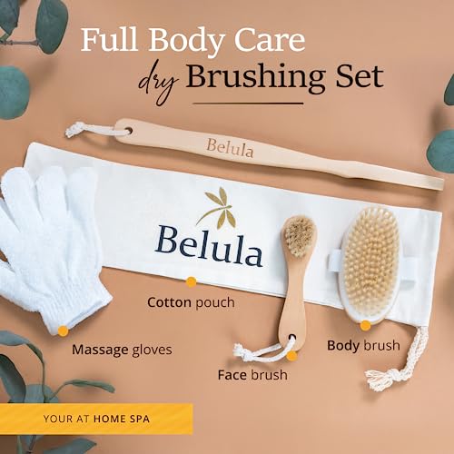 Belula DB Premium Dry Brushing Body Brush Set thumb #5