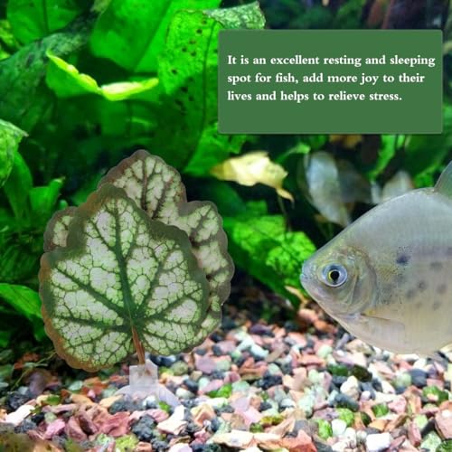 Image of 2Pcs Betta Fish Leaf Hammock Aquarium Plastic Betta Bed Resting Spawning Pad for Beta Fish Tank Accessories