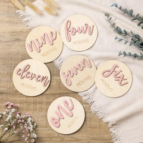 Monthly Baby Girl Milestone Circles: Newborn Milestone Age Wooden...