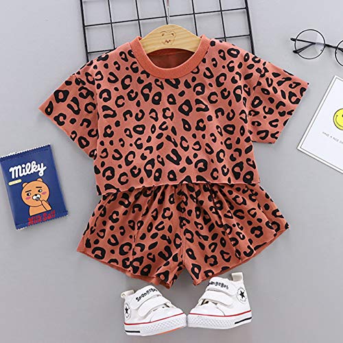 Toddler Baby Girls Leopard Print Summer Clothes Set T-Shirt And Short Pants 2Pcs Outfits (3-Brown, 2T) #TOP2