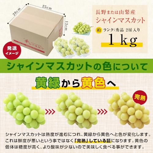 山下屋荘介 長野 山梨県産 シャインマスカット 秀品 (2房 / 約1kg / 常温) の商品画像 6