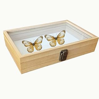 Specimen Box, Solid Wood Insect Specimen Box,butterfly Specimen Box, Wooden Photo Frame, Oversized Transparent Insect Display Box 27x18x5.5cm.