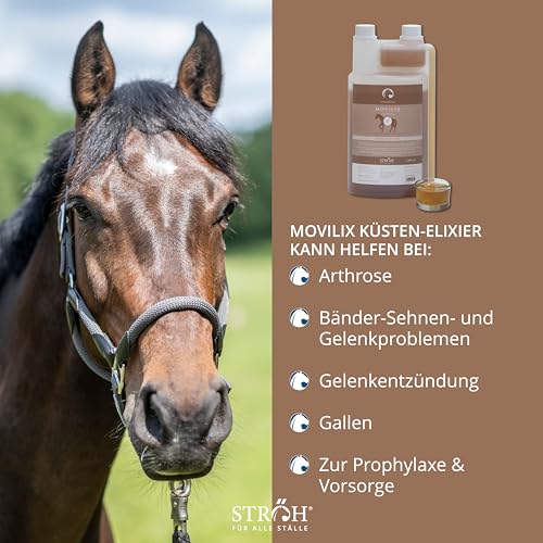 STRÖH MOVILIX (1l) • Gelenk Unterstützung für Pferde • Teufelskralle für Pferde • Fördert Beweglichkeit & Gelenkgesundheit • Gelenk-Saft Pferd • Nahrungsergänzung für Pferde