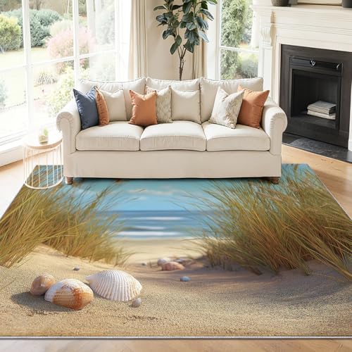 Alfombra Salon 90 x 150 cm Antideslizante Alfombras Lavables en Lavadora Habitacion Dormitorio Conchas Frescas de Playa Comedor Modernas Tapete Quarto Pelo Corto Azul
