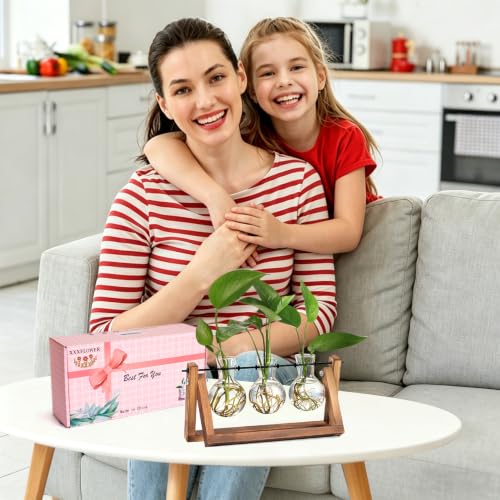 XXXFLOWER Plant Terrarium with Wooden Stand, Air Planter Bulb Glass Vase Metal Swivel Holder Retro Tabletop for Hydroponics Home Garden Office Decoration - 3 Bulb Vase - Image 4