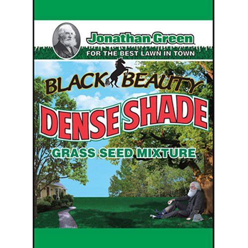 Top 10 Best Dark Green Grass Seed Reviews & Buying Guide Katynel