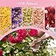 Natürliches Hochzeitskonfetti, 40+Tassen（250g) 5 Gemischte Blütenblätter Konfetti Hochzeit mit Rosenblätter, Jasminblüten...Biologisch Abbaubare Getrocknete Blütenblätter,für Blumenmädchen und Braut.