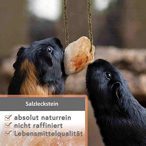 Hochwertiger Salzleckstein “Bergkristall” 8-10 Stück Leckstein mit Kordel, ca. 1 kg, für Kaninchen, Kleintiere, Katzen, Hunde und andere Tiere