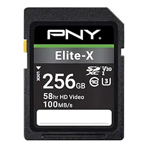 PNY 256GB Elite-X Class 10 U3 V30 SDXC Flash Memory Card (P-SD256U3100EX-GE)