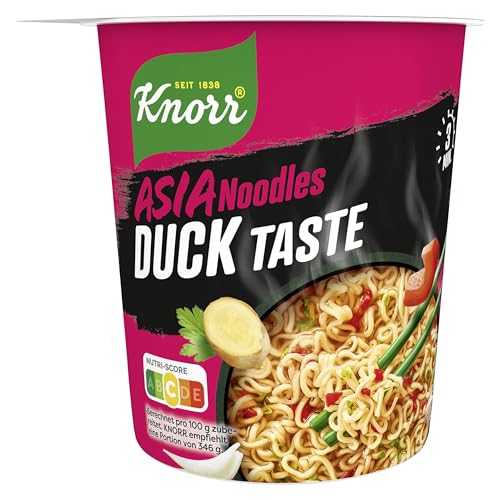 Knorr Asia Noodles Instant Nudeln Duck Taste leckere Asia Nudeln fertig in nur 3 Minuten 61 g