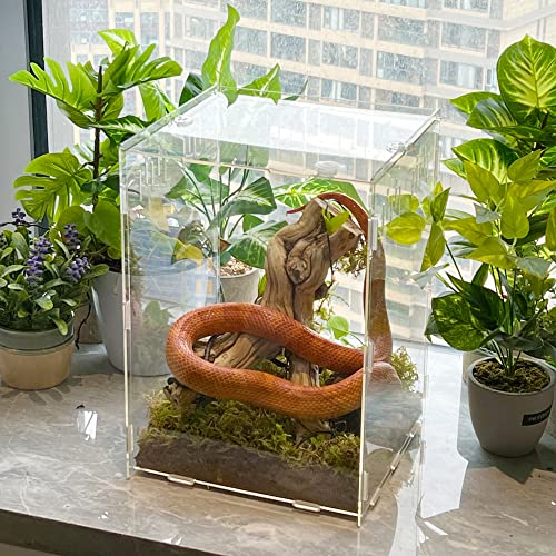 winemana Reptile Terrarium Aquarium Breeding Tank, 14.5" x 10.5" x 10" Acrylic Tarantula Enclosure Feeding Box Insect Habitat for Tarantula Spider Snake Lizard Hermit Crab Insect - Image 5