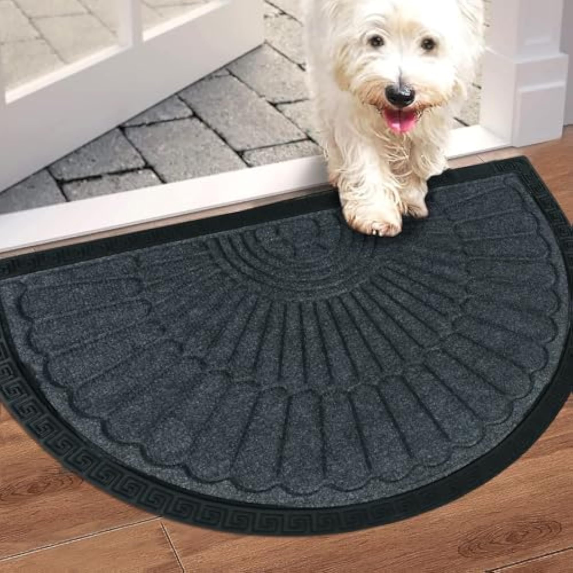 Semicircular Anti-Skid Door Mat for Home
