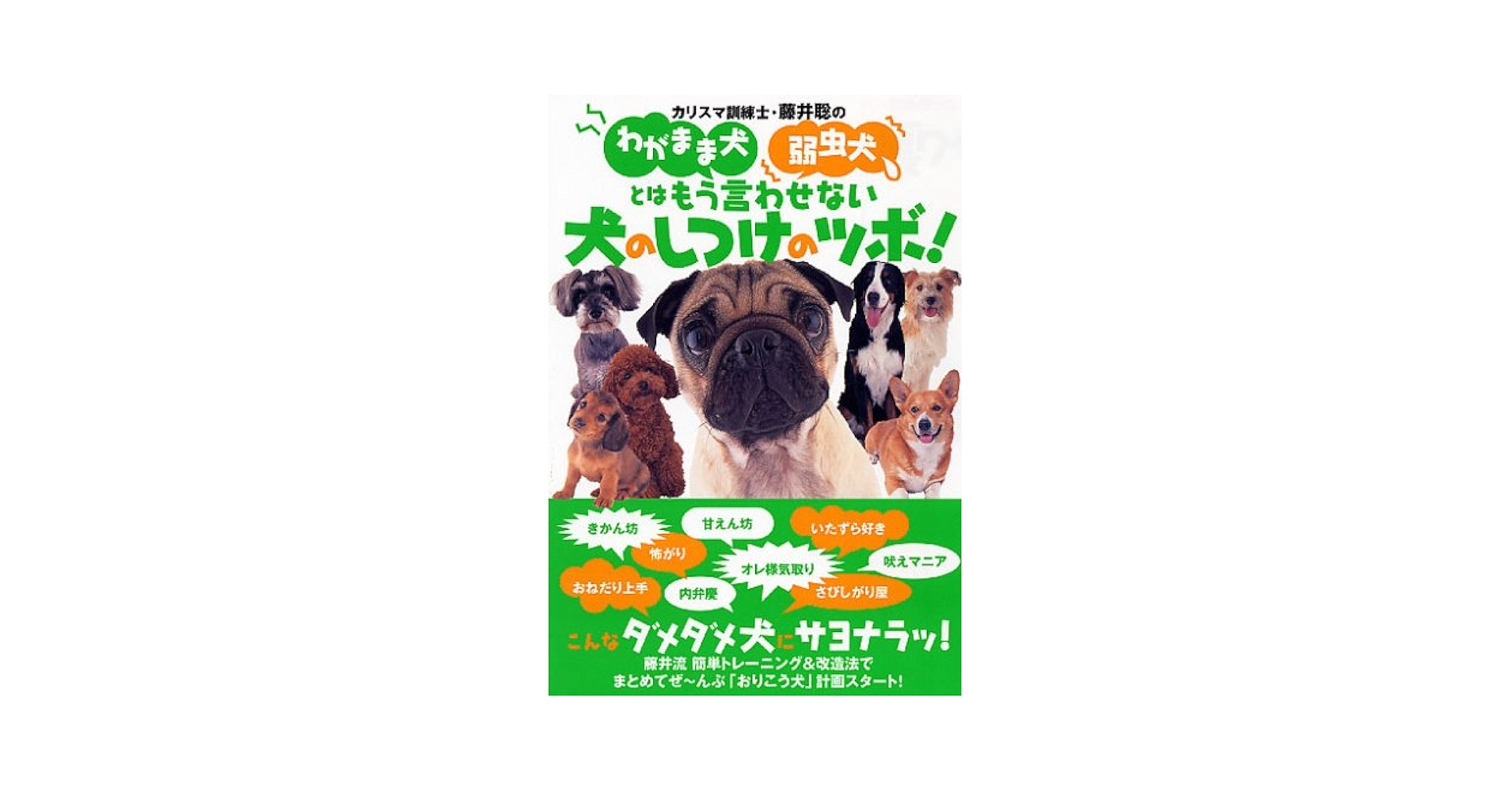 わがまま犬、弱虫犬を徹底改造! | 藤井 聡, 藤井 聡 |本 | 通販