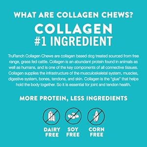 5″ Collagen Sticks, Beef, Healthy Joint Support Dog Treat, Rawhide Alternative, Skin & Coat Health, Made with Real Beef, 1 Bag, 15 Count