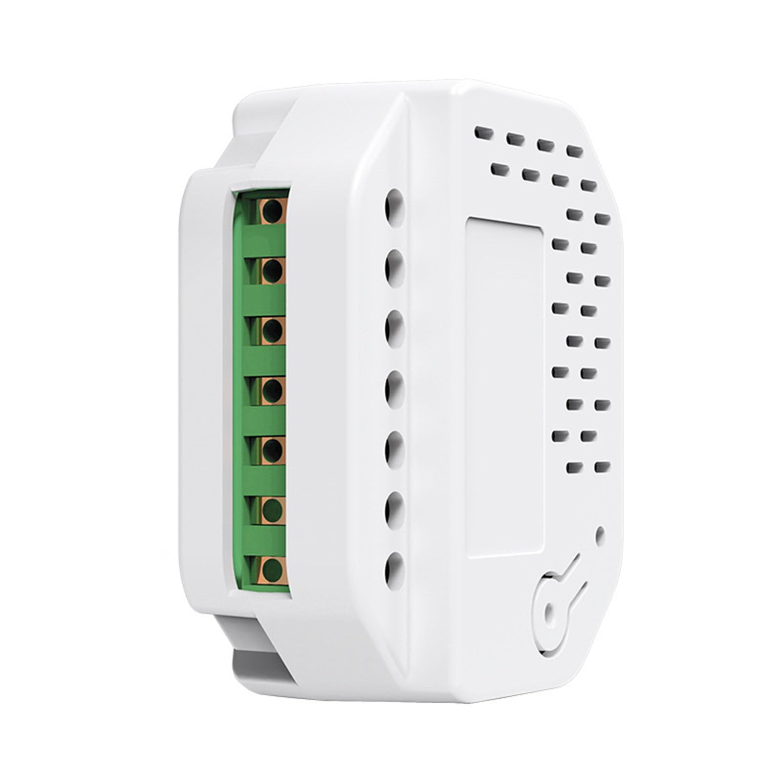 LIbgiubhy L Intelligent Relays Switches Module Matter WiFi Relays Switches Replacement For Home Integration Automation