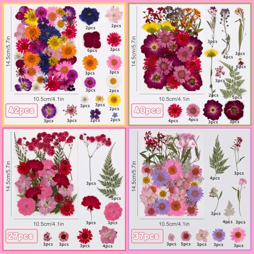 Kit de flores prensadas naturales secas para manualidades miniatura 3