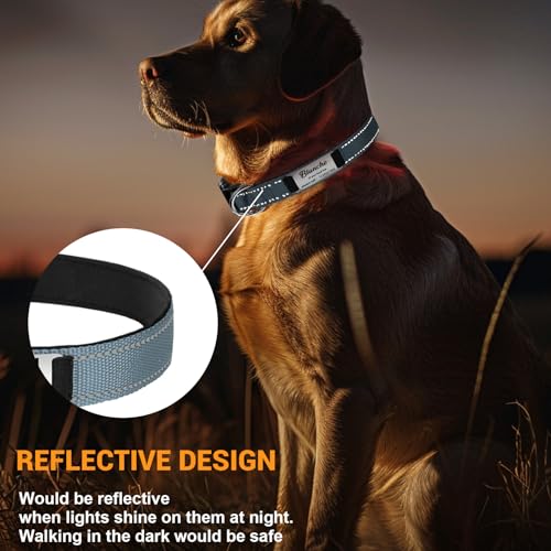 Hundehalsband Personalisiert mit Namen und Telefonnummer, Nylon Hundehalsband Leuchtend mit Gravur, Verstellbare Größen für Große Mittlere Hunde