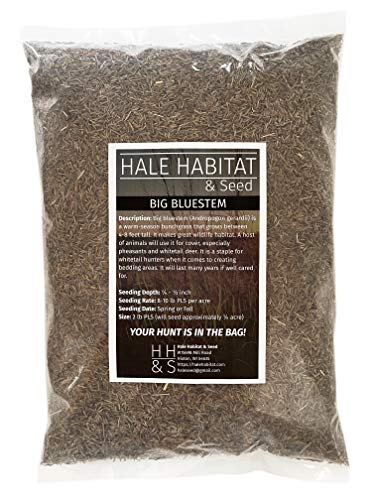 Hale Habitat & Seed Big Bluestem Native Grass Seed Deer& Wildlife Cover, 2 lbs Pure Live Seed