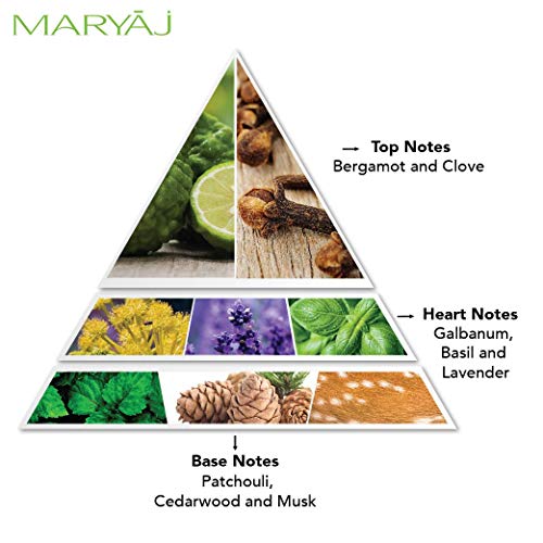 Maryaj Wild Speed Eau De Parfum Citrus Spicy Perfume 100ml for Men and Ajmal Evoke Silver Edition Him Deodorant Spicy Floral Fragrance 200ml for Men - Image 5