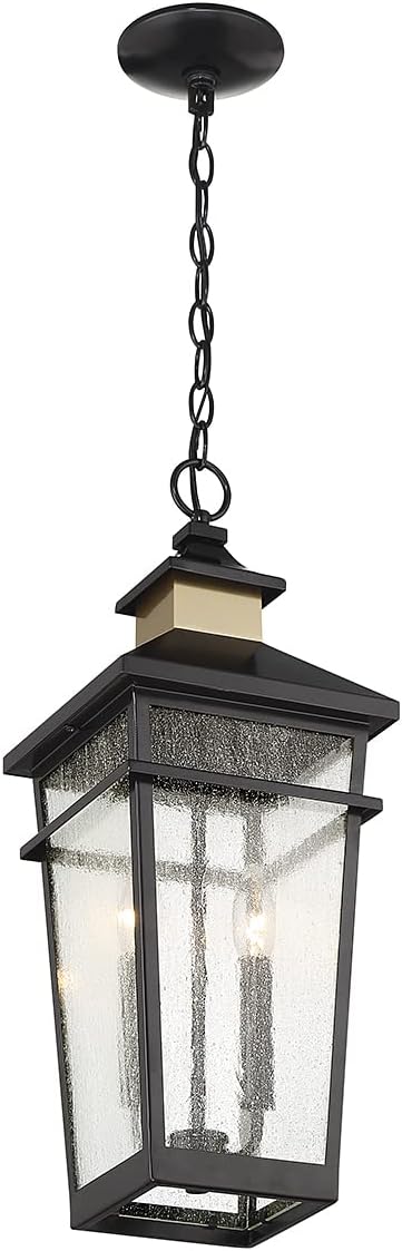 Savoy House 5-717-143 Kingsley Coastal Modern Clear Seeded Glass Outdoor Hanging Lantern, 2-Light 80 Total Watts, 23" H x 9" W, Matte Black with Warm Brass