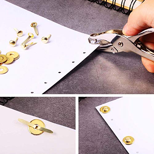 1 Hole Punch, 8 Sheet Capacity, Classic Office Paper Punch for Craft Paper, DIY Crafts, Perfect for Home Office School Supplies - Thumbnail 3