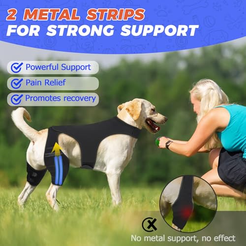 Image of Dog Knee Brace for Back Leg Fit Extra Large Dogs Metal Splint Hinged Flexible Support Dog ACL Hip Brace with 2 Metal Strips for Hip Dysplasia, CCL, Ligament Injuries & Osteoarthritis (XL)