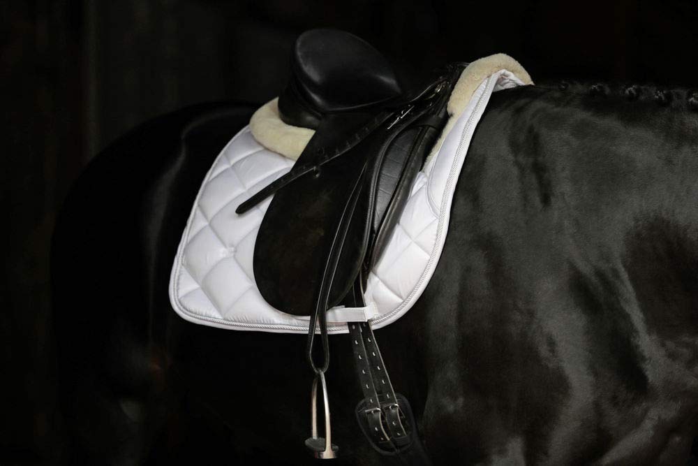 Covalliero Sottosella Empara White, DS