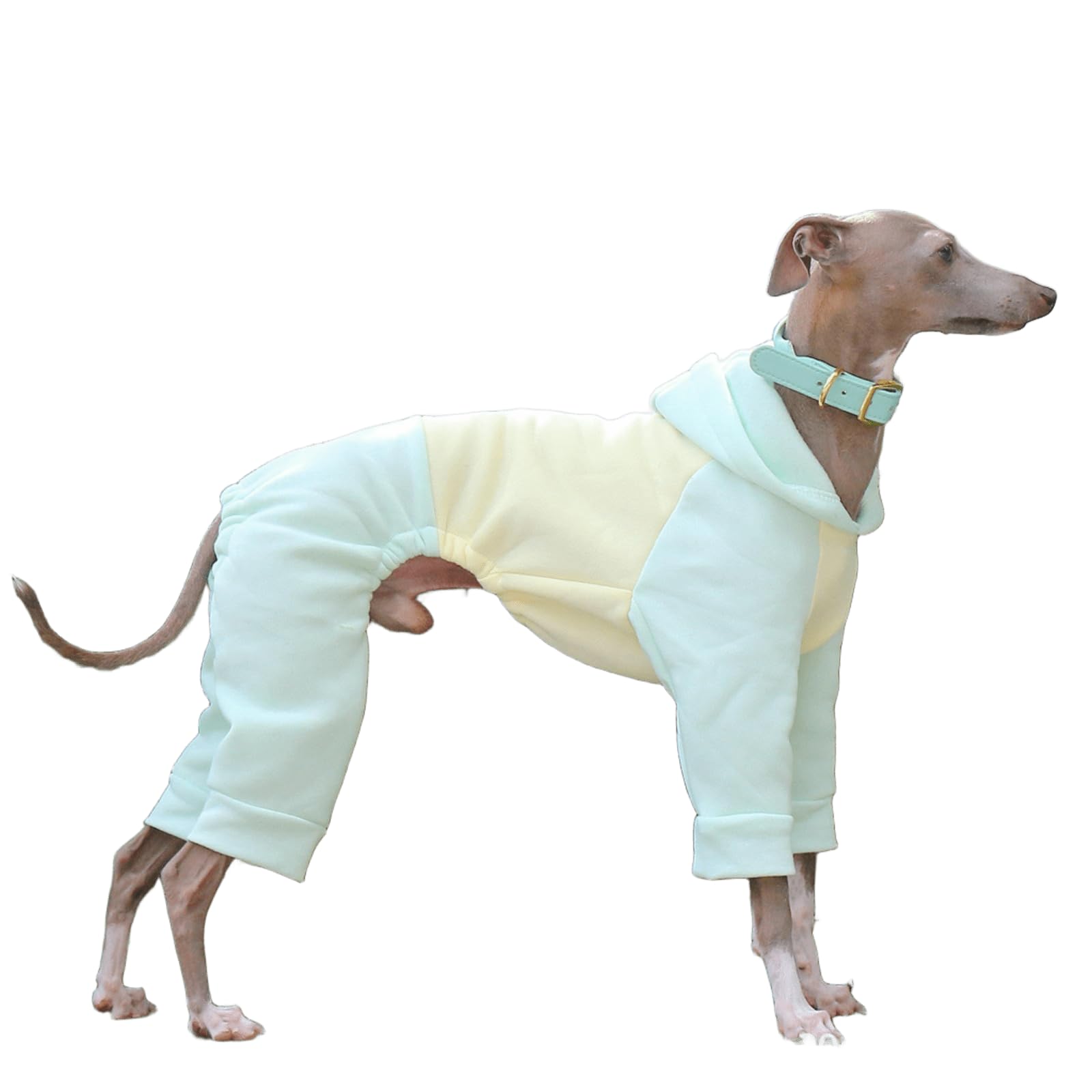 UOSIA Soft Dog Pajamas For Whippet Fashion Four-Legged Lightweight Dog Hoodie Greyhound Onesie Clothes Winter Coat Jumpsuit For Small Medium Large Dogs
