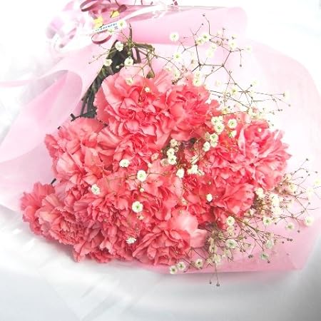 Amazon 色はお任せでカーネーションの花束１０本母の日に 花束 オンライン通販