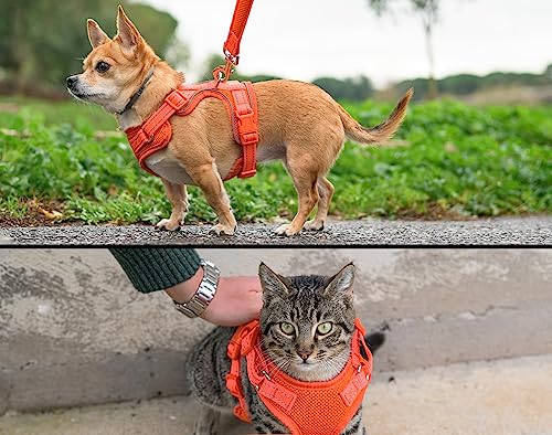 Pettorina Per Gatti Taglia XS - Imbracatura Antifuga Con Guinzaglio - Verde - Foto 8