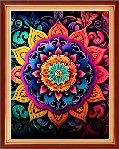 Image of Dimxvean Stamped Cross Stitch Kits,Cross Stitch Kits for Adults Beginners,Embroidery Kits Full Range of Cross Stitch Stamped Kits Needlepoint Kits Cross Stitch Patterns-Colorful Mandala 16x20 inch