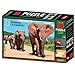 National Geographic - 10052 - Puzzle 3D Les Eléphants - 500 Pièces