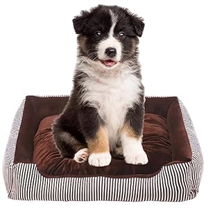 Bibykivn Cama Perro Grande Mediana, Antideslizante Lavable Cama para Gatos, Bordes Altos Cómodo Cama para Perros, Cama de Perro con Cojín Reversible para Mascotas Pequeñas (70 * 52cm, Marrón)