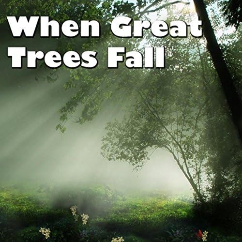 When Great Trees Fall Various artists Digital Music