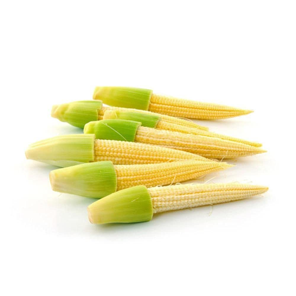 LIVE GREEN Vegetable Seeds | Baby Corn F1 Hybrid Seeds For Home Gardening (50 seeds pack) (B09BV5GJ5D) Amazon Price History, Amazon Price Tracker