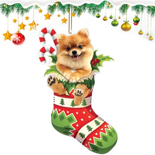 Pomeranian Dog Christmas Ornaments, Pomeranians Xmas Sock Ornament,2026 Dog for Pomeranians Lovers, Dogs Mom, Dogs Dad, Pet Lovers New Year's Gift (Pomeranian)