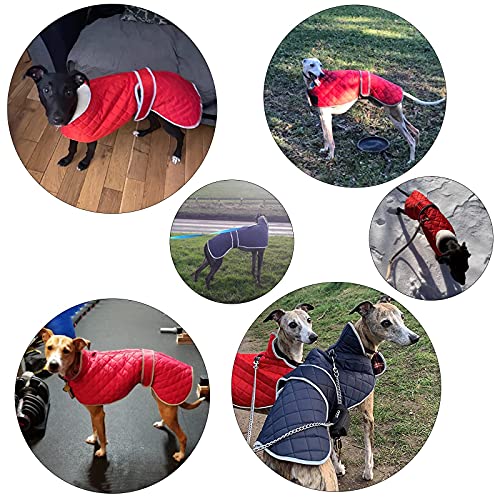 Geyecete - Windhund Warmer wintermantel, Hundemantel mit Dickes Steppfutter, verstellbaren Outdoor Hundejacke mit Geschirr Loch für mittel große Windhunde Whippet Lurcher Saluki -Blau-S