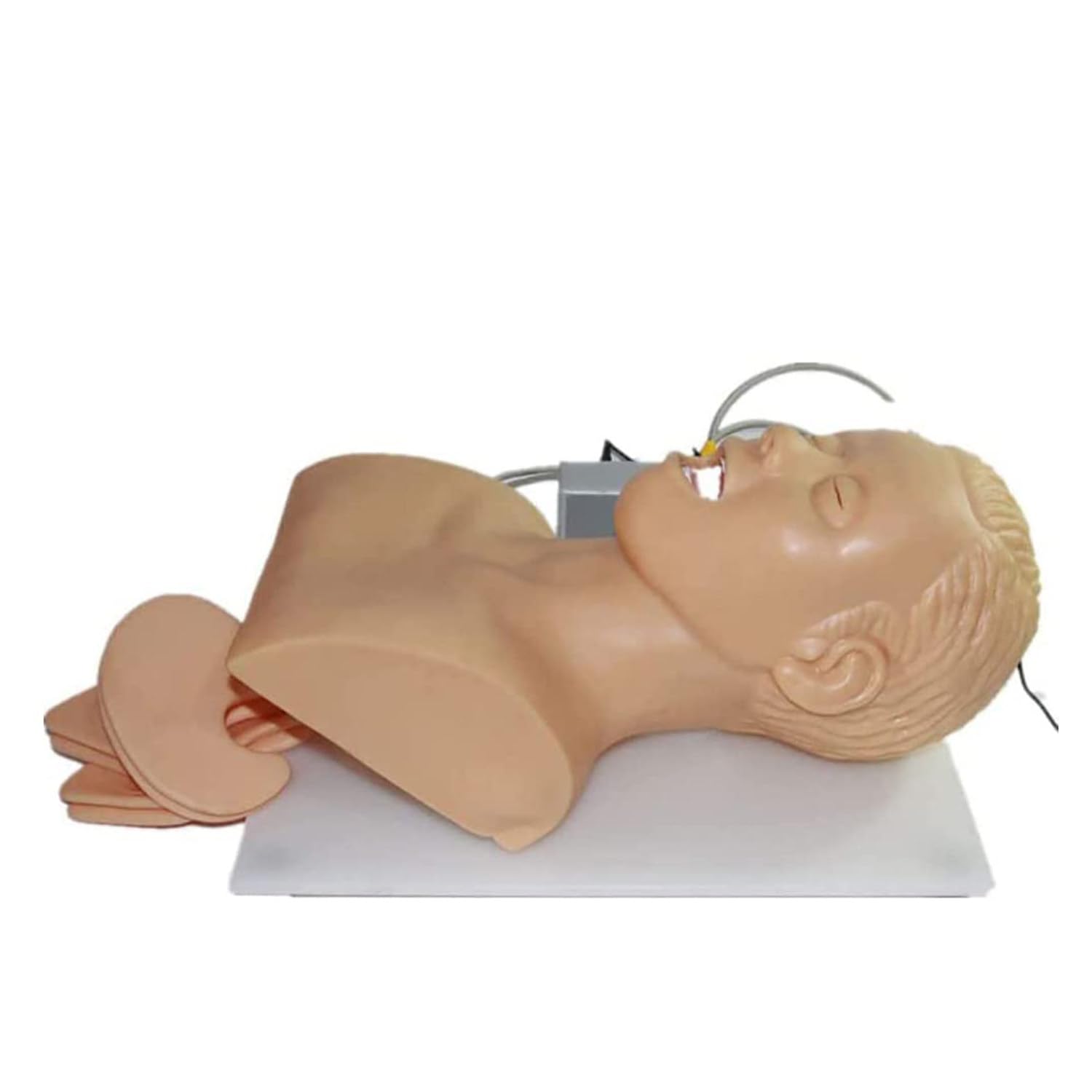 Modello umano per intubazione endotracheale - Simulatore di manichino per intubazione tracheale, kit di aiuti formativi per la gestione delle vie aeree orali e nasali per pratica/studio,220V