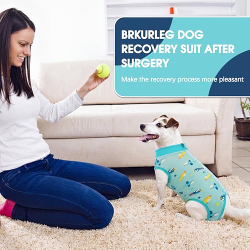 Image of BRKURLEG Small Dog Recovery Suit After Surgery Female Male, Back Zipper Spay Recovery Suit for Dogs & Cats, Anti-Licking Puppy Surgical Onesie for Abdominal Wound, Cone Alternative, Blue XL
